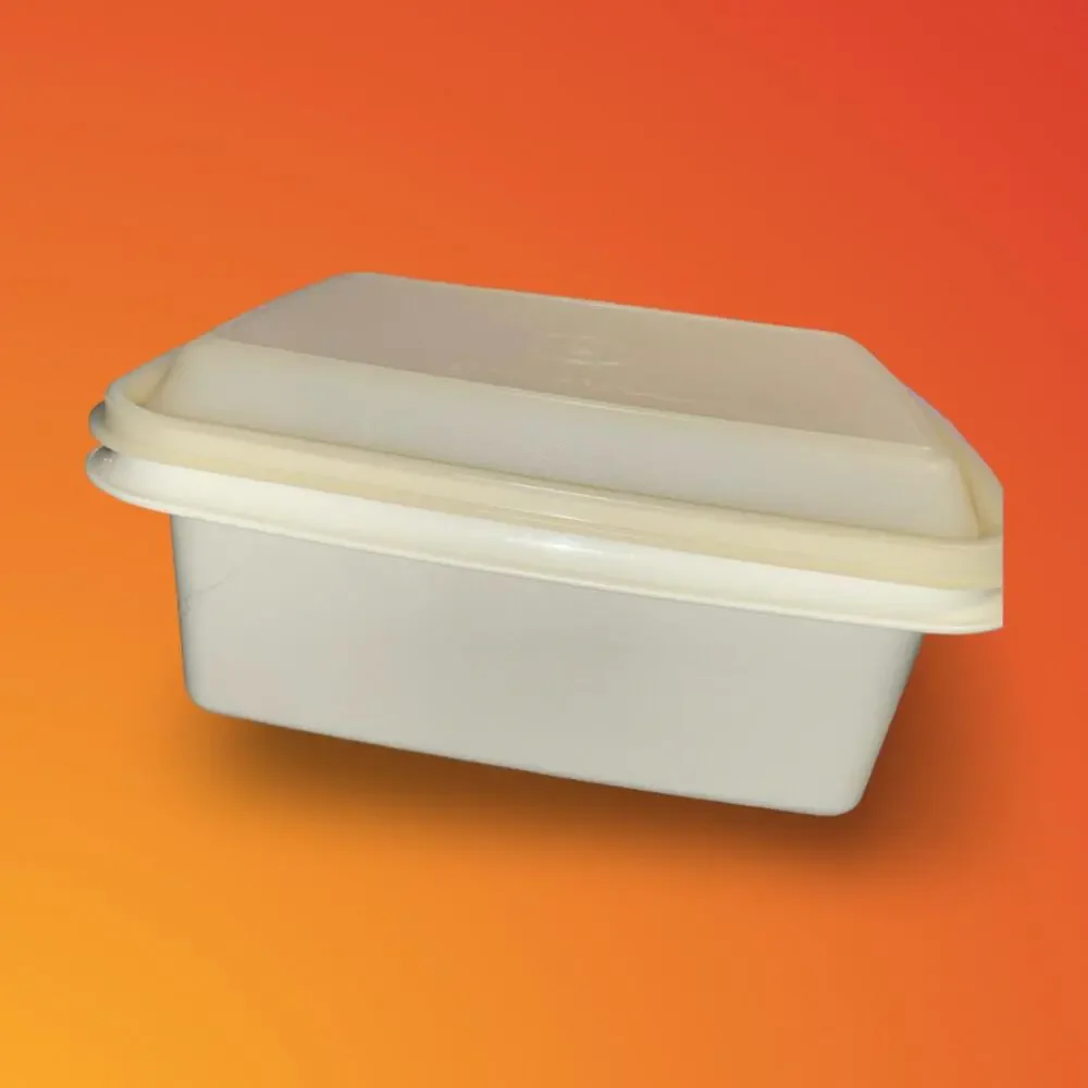 Tupperware Freeze N Save Ice Cream Container Almond Base 125 VTG4 Sheer Lid 1255